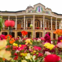استخدام نیروی کار