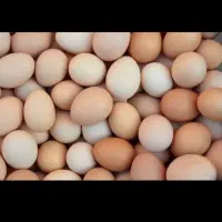تخم مرغ عمده