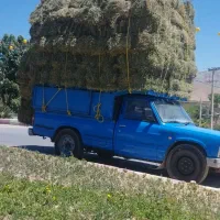 یونجه|لوازم جانبی حیوانات|بجنورد, |دیوار