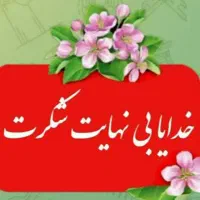 سرویس داخل شهر