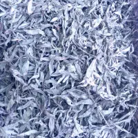 پونه تمیز