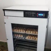 دستگاه جوجه کشی ۵۰۴تایی هدایت