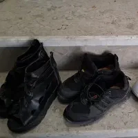 لباس کیف کفش در حد نو|لباس|شیراز, محراب|دیوار