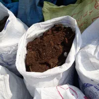 کود گوسفندی اعلا تمیز شده|خدمات باغبانی و درختکاری|اصفهان, کلمه خوران|دیوار