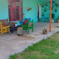 فروش باغ جاده سرابننیز|فروش دفتر صنعتی، کشاورزی، تجاری|دوگنبدان, |دیوار