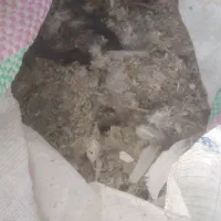 فروش کود کبوتر