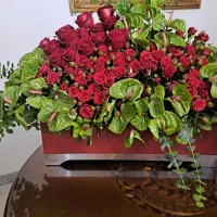 یک عدد باکس گل ۶۰ در ۷۰
