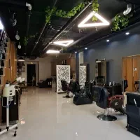اصلاح سر و کوتاهی مو آقایان VIP