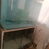 یک عدد اکواریوم ده میل