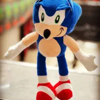 چرخکار خانم