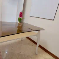 میز ناهارخوری تک