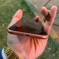 آیفون XR درحد صفر و عتیقه پلمپ فروش فوری|موبایل|سقز, |دیوار