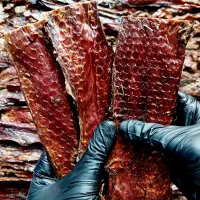 تشویقی سگ و گربه