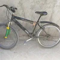 دو عدد دوچرخه