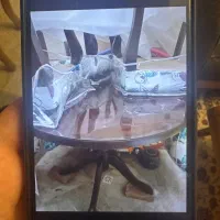 میز ناهار خوری ۴ نفره همراه با شیشه|میز و صندلی غذاخوری|تهران, جنتآباد مرکزی|دیوار