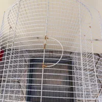 قفس پرنده|لوازم جانبی حیوانات|نیشابور, شهرک ولیعصر|دیوار