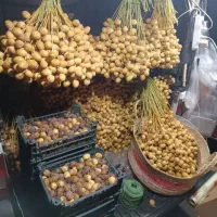 فروش خارک مکتیب زرد وشیخالی(قرمز)شیرین|خوردنی و آشامیدنی|شیراز, سجادیه|دیوار