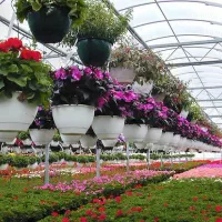 کلیه خدمات باغبانی منازل پذیرفته می شود