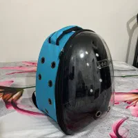 کیف گربه