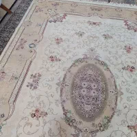 فرش|فرش|گرگان, |دیوار