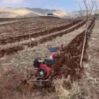شخم زدن باغ و باغچه با تیلر
