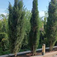 3600مترباغ-و-ویلا-درغرب-تهران-شهریار-تهاترتاکل-ثمن