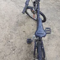 دندی|دوچرخه، اسکیت، اسکوتر|سنقر, |دیوار