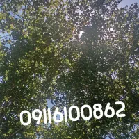 سیم کارت دائمی