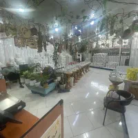 فروش انواع برنج ایرانی و پاکستانی