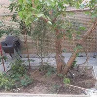 ویلایی دو طبقه و نیم با مغازه چهارصد دستگاه|فروش خانه و ویلا|کرج, چهارصد دستگاه|دیوار