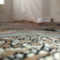 فرش 12 متری 700 شانه طرح مدرن|فرش|صحنه, |دیوار