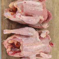 گوشت مرغ خیلی محلی