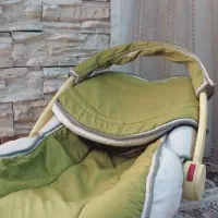 روروئک،کالاسکه،کریر