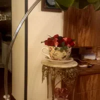 اباژور ایستاده