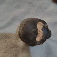 سنگ قیمتی فروشی|کلکسیون اشیاء عتیقه|بشاریات, |دیوار