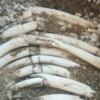 (لوله کشی نشت یابی تاسیسات لوله بازکنی تعمیرات کلی|خدمات پیشه و مهارت|اصفهان, رزمندگان|دیوار