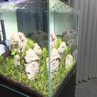 آکواریوم پلنت فروش فوری زیر قیمت|ماهی|قم, پردیسان|دیوار