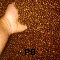 کارگاه رست و پخش قهوه دیزباد|کافیشاپ و رستوران|ملکآباد, |دیوار