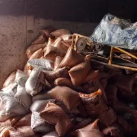 کود مرغ  پلیت اسید هیومیک|گل و گیاه طبیعی|تربت جام, میان جام|دیوار