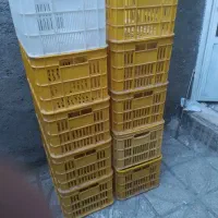 سبد