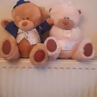 دوتا خرس خارجی پولیشی|اسباببازی بچه|تهران, درب دوم|دیوار