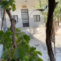 دماوند ویلانقلی350متری 80متر بنابا انشعاب سندتکبرگ|فروش خانه و ویلا|تهران, تهرانپارس جنوبی|دیوار