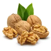 باغداران گردو ۱۵ کیلو گردو بیشتر برداشت کن