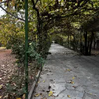 کردان کوهسارشنده 23000متربر 100سنددار 2000متر مجوز