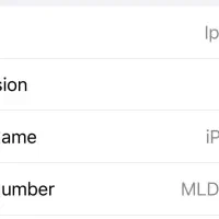 ایفون ۱۳ نرمال|موبایل|نی‌ریز, |دیوار