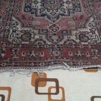 قالی قدیمی|فرش|دزفول, |دیوار
