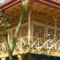 درب و پنجره و تخت و کلبه چوبی سنتی|مصالح و تجهیزات ساختمان|رشت, پسیخان|دیوار