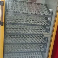 دستگاه جوجه کشی سیمرغ جنوب|لوازم جانبی حیوانات|شیراز, شیشه‌گری|دیوار