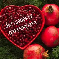09115900912