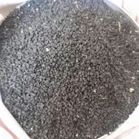 بذرپیاز|گل و گیاه طبیعی|کازرون, |دیوار